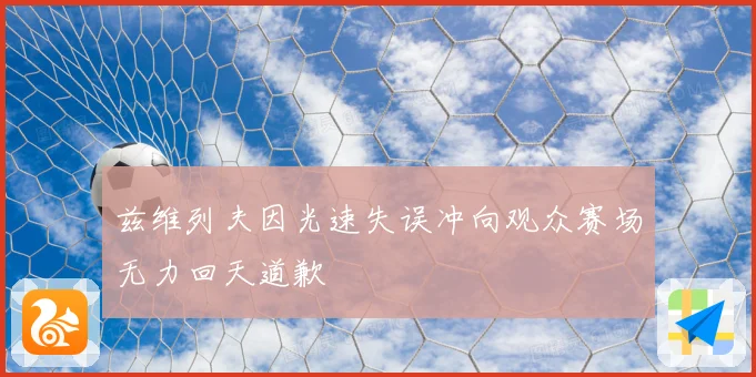 兹维列夫因光速失误冲向观众赛场无力回天道歉