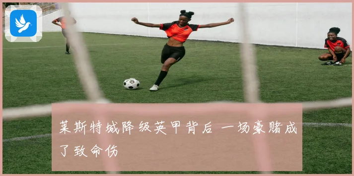 莱斯特城降级英甲背后 一场豪赌成了致命伤